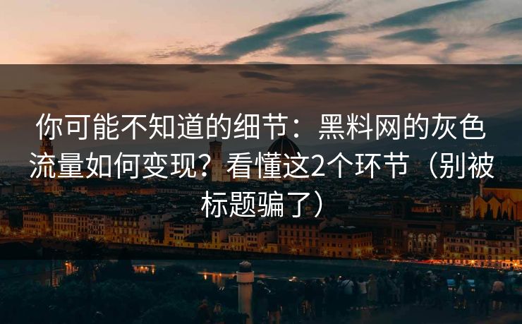你可能不知道的细节：黑料网的灰色流量如何变现？看懂这2个环节（别被标题骗了）