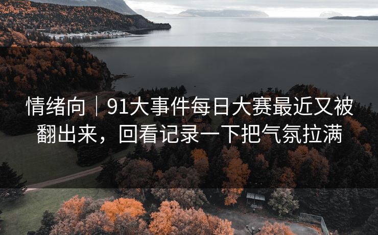 情绪向｜91大事件每日大赛最近又被翻出来，回看记录一下把气氛拉满